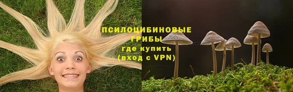спиды Арсеньев
